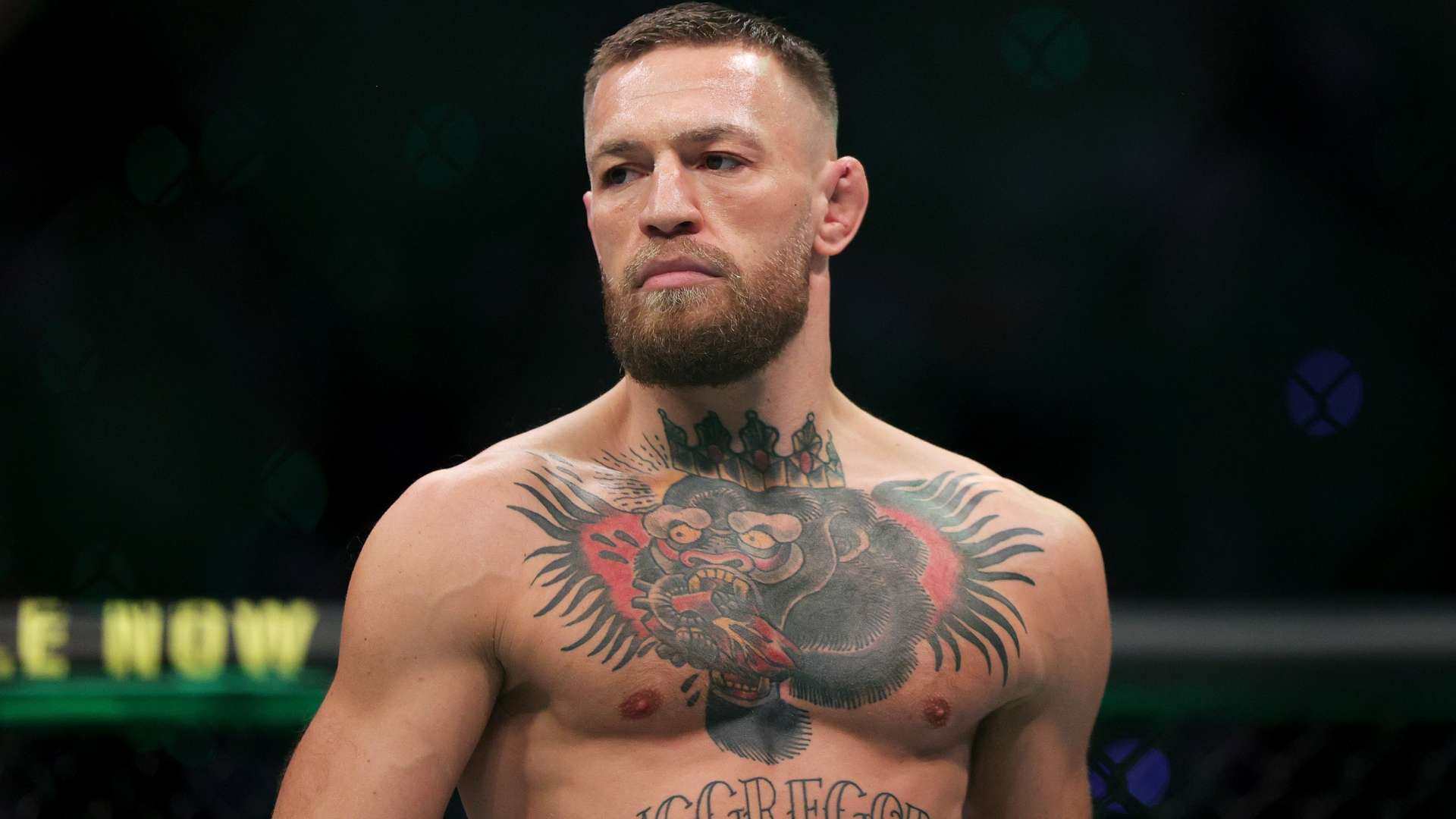 比地預判出 比地預判出