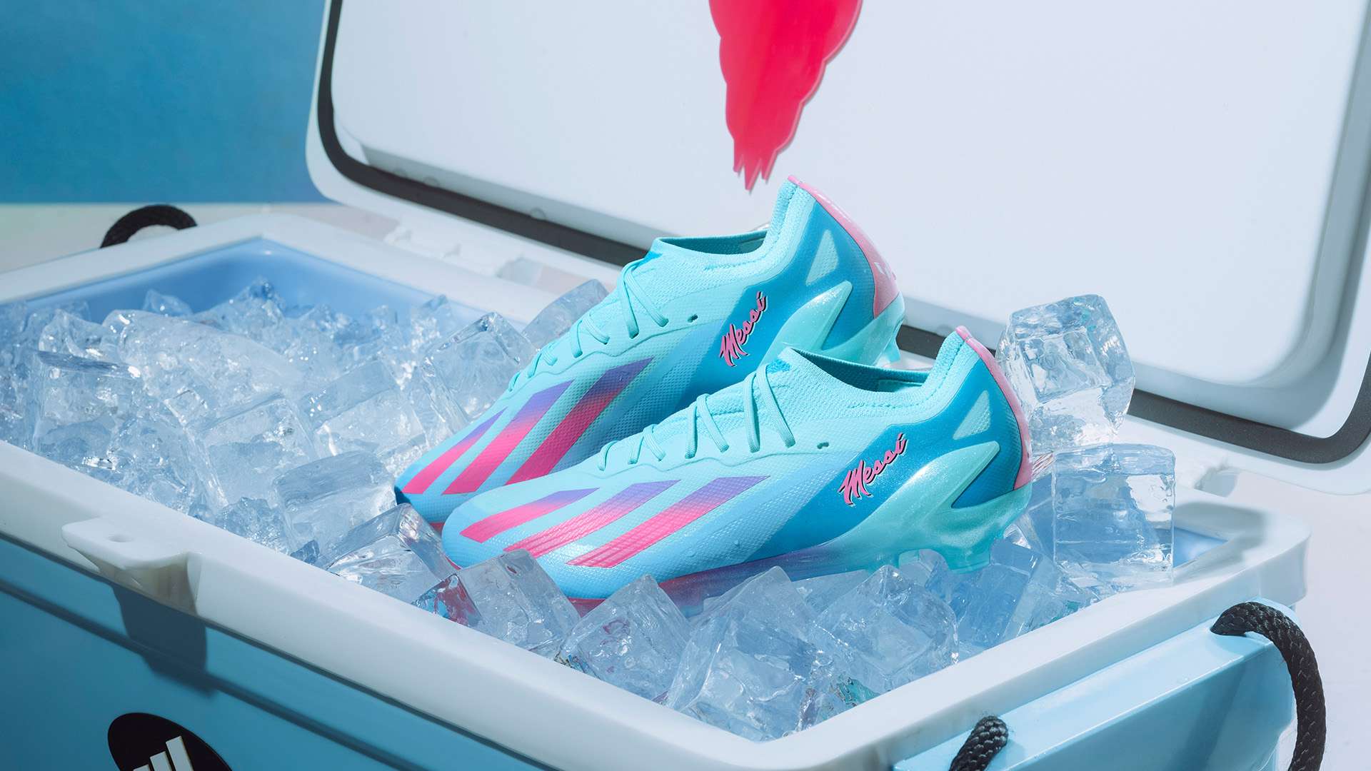 而这正是足 而这正是足